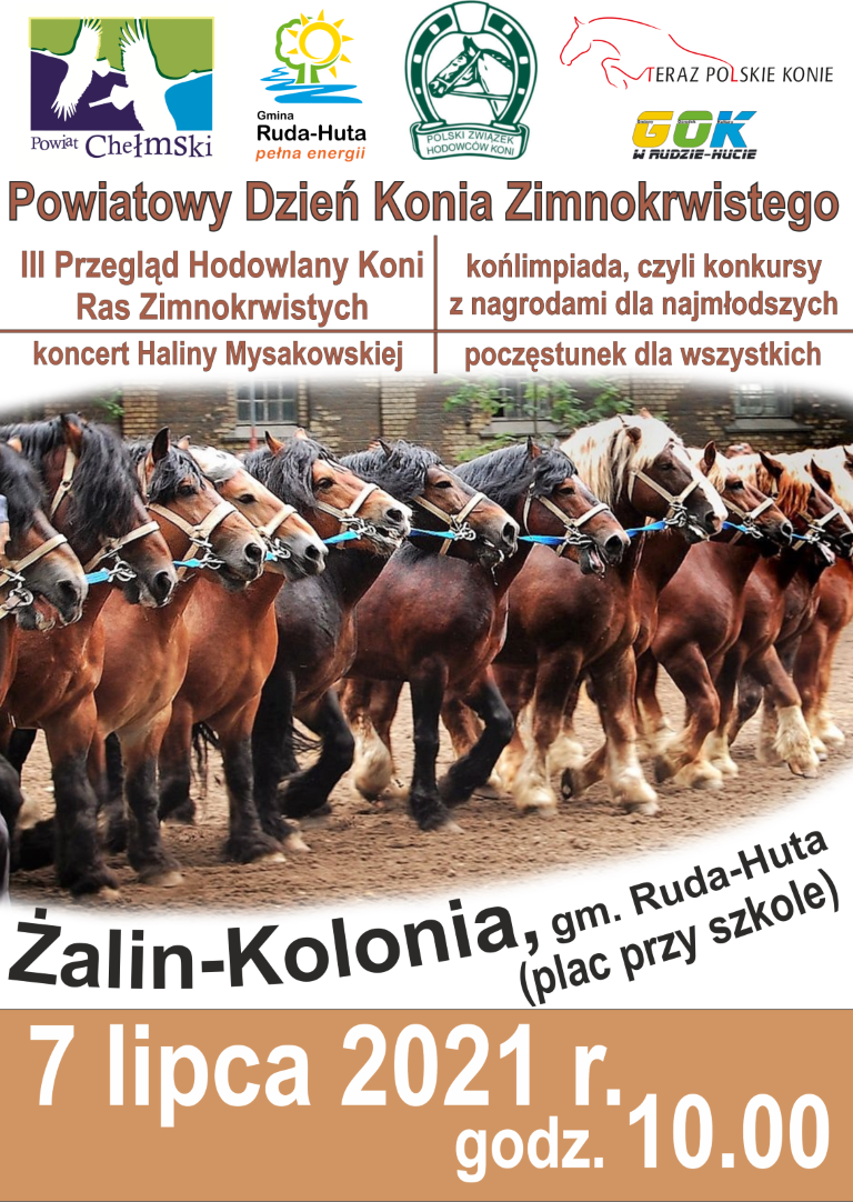 powiatowy dzien konia zimnokrwistego